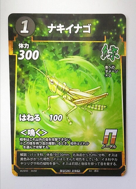 峐_@iLCiS   g[fBOJ[h 