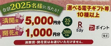 IׂdqMtg2025l/5000~1000~5