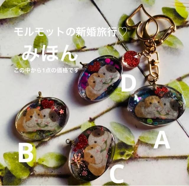 bg̐Vs@L[z_[@  t@bV 