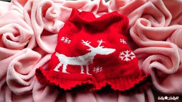 *Merry Christmas*ÉިŶ̌蕠tƯg݂e