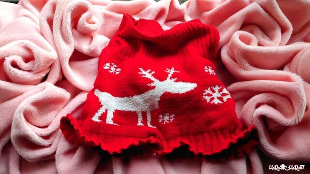 B*Merry Christmas*BÉmfBbNgiJČ蕠tjbgpcgpe 