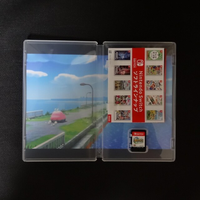 ̃J[rB fBXJo[ Nintendo Switch\tg