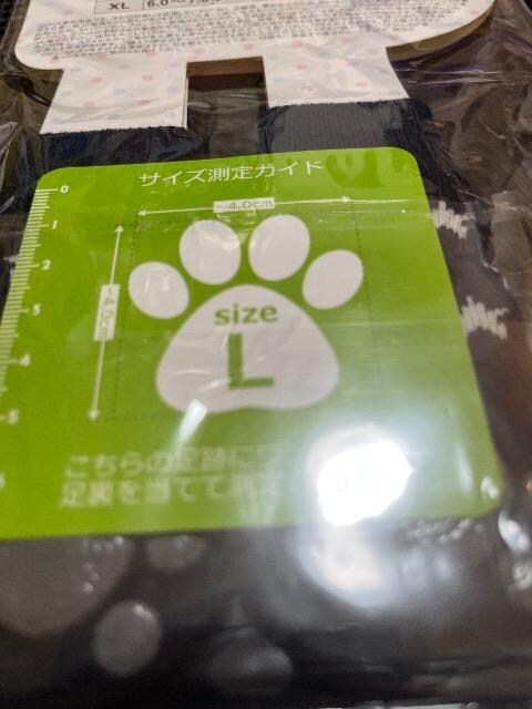 DOGSOCKS  ybg/|/| 