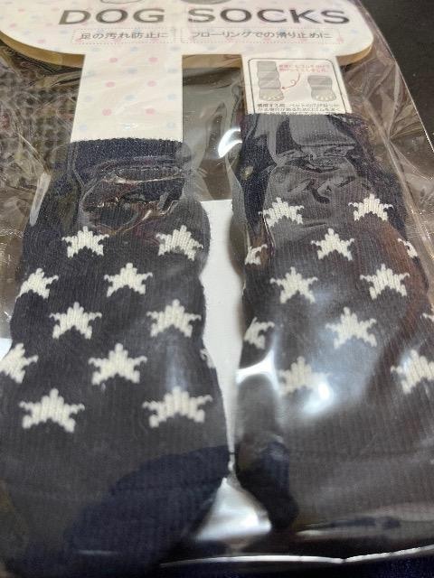 DOGSOCKS  ybg/|/| 