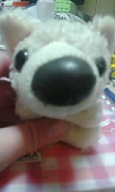 THE DOG L[z_[     