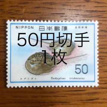 8511LO؎50~(50~؎)