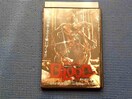 DVD ubh ̂ɂ BLOOD PIGS
