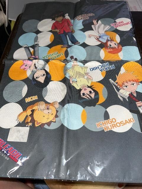 BLEACH u[`@NAt@C@t[NXA  Aj/R~bN/LN^[ 