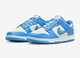 NIKE DUNK LOW g