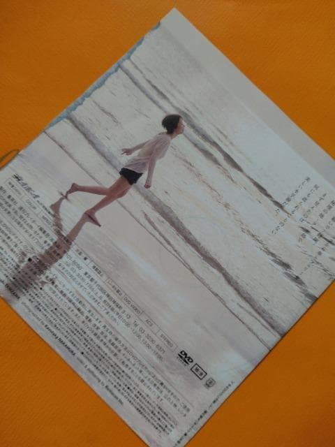 v[{[CDVDyn粁@z  CD/DVD/rfI 