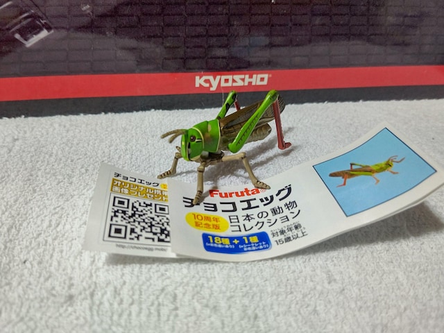 `RGbO 10th {̓ gmT}ob^   zr[ 