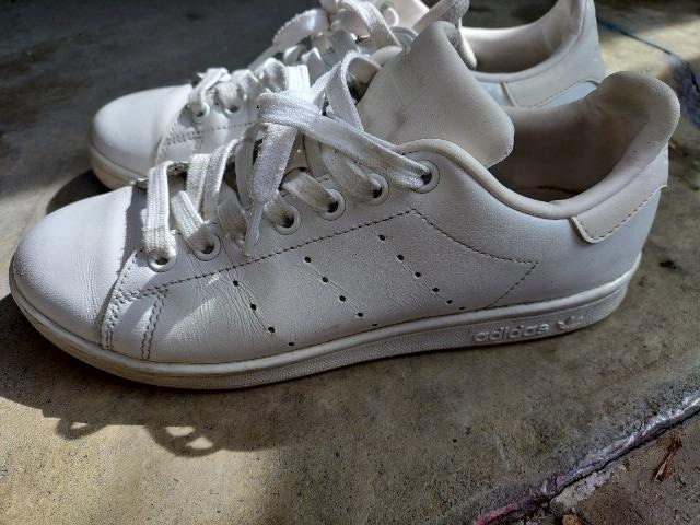 adidas X^X~X 24cm  U[Xj[J[ vi  uh 