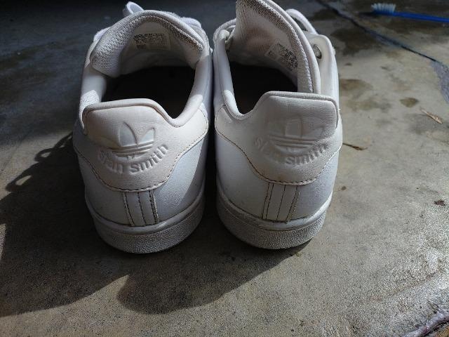 adidas X^X~X 24cm  U[Xj[J[ vi  uh 