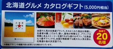 ^CAbv/kCOJ^OMtg5~/1