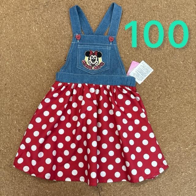 Vigp^Ot100TCY@Wp[XJ[g@fBYj[~j[@tėp   LbY/xr[ 