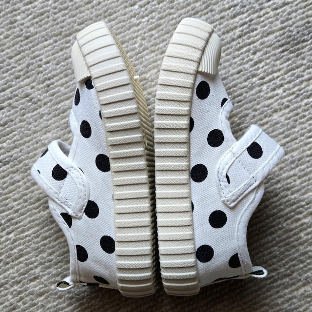 gp LbYp 㗚 16.5cm }WbNe[v hbg LoXV[Y  LbY/xr[ 