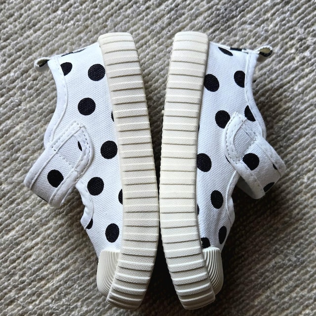 gp LbYp 㗚 16.5cm }WbNe[v hbg LoXV[Y  LbY/xr[ 