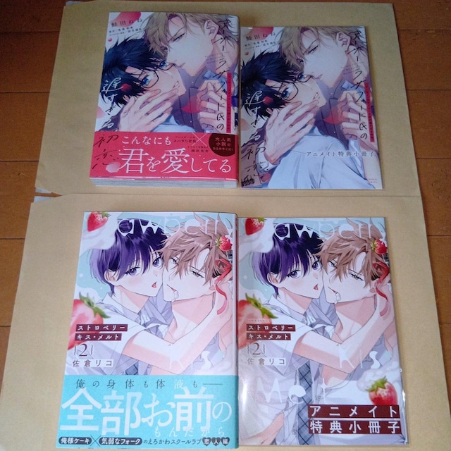 Xgx[LXEg@2@@qR@AjCgZbgEA[T[EUtH[h̒x鏉 @c˂ˁ@AjCgZbg   Aj/R~bN/LN^[ 