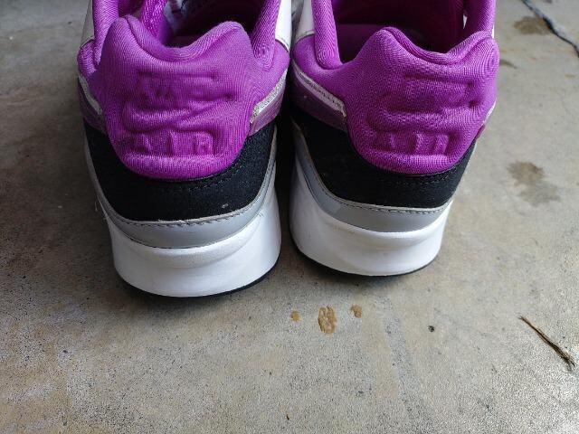 NIKE GA[MAX  Xj[J[ AIR MAX  TCY24.5cm  uh 