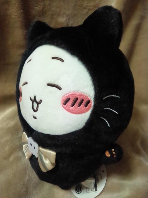 큡Lʂ݁큡  Aj/R~bN/LN^[ 