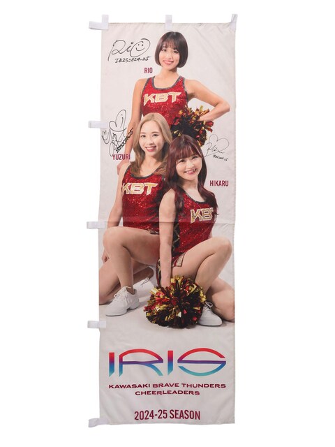 IRIS Ôڂ(3)(MTC) 