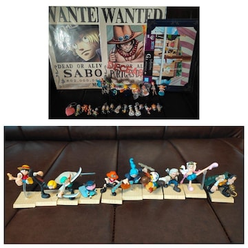 ONEPIECE s[X Xgbv tBMA TW `bp[ }R [R z |X^[
