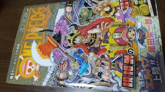 ONE PIECE Ps{111iłI   Aj/R~bN/LN^[ 