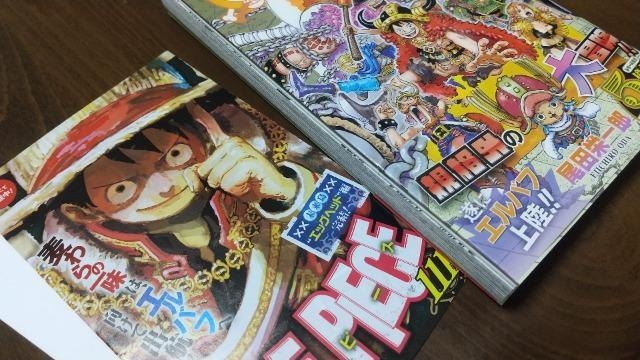 ONE PIECE Ps{111iłI  Aj/R~bN/LN^[ 