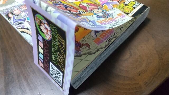 ONE PIECE Ps{111iłI  Aj/R~bN/LN^[ 