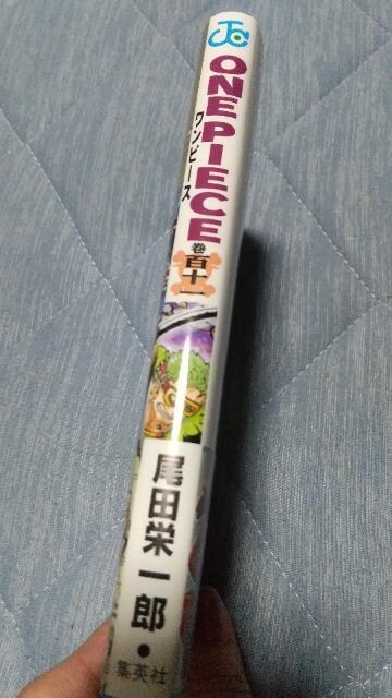 ONE PIECE Ps{111iłI  Aj/R~bN/LN^[ 