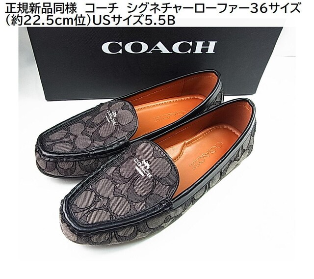 ǕiKɔ@R[`@VOl`[[t@[36TCY i22.5cm-23cmʁjUSTCY5.5B 