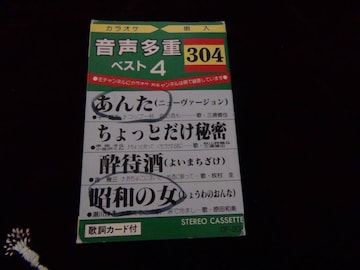 dxXg 4 JIPS 304 ̎J[ht!B