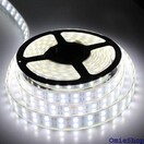 PxLEDe[vCg 5m h 24V 600A bN/qC/OƖ/ledԐڏƖ zCg 24v 167