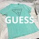 yGUESS / QXz  SvgTVc / ~gO[ / L