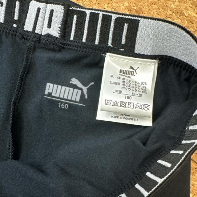 Vigp160TCY NуXpbc@MX@v[}PUMA   LbY/xr[ 