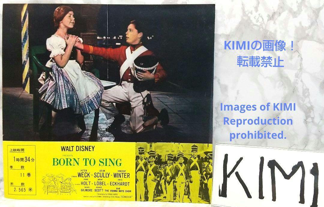 レア 映画パンフレット 青きドナウ 1962年 昭和37年 | ホビー