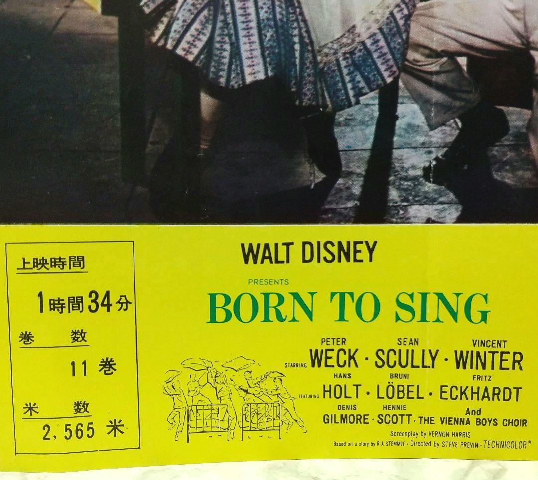 レア 映画パンフレット 青きドナウ 1962年 昭和37年 | ホビー