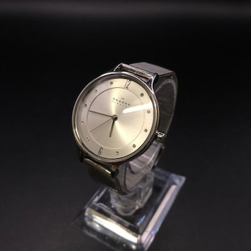  SKAGEN XJ[Q rv SKW2149