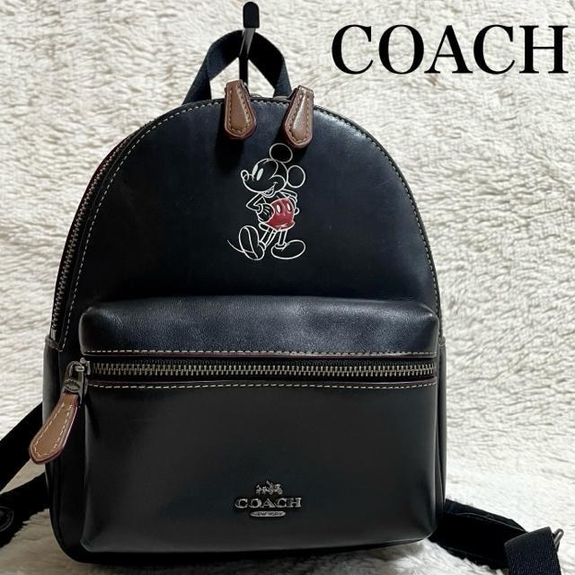 ɔi COACH fBYj[ ~bL[ I[U[ obNpbN bN   uh 