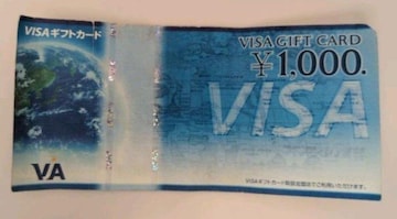 VISA1000~