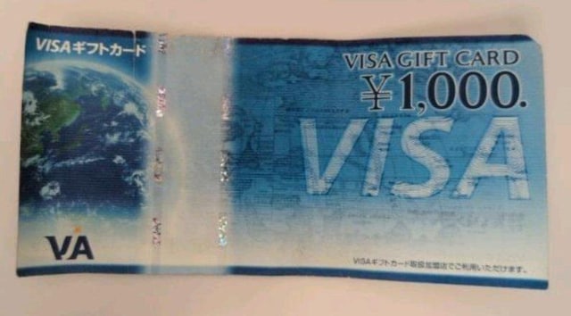 VISA1000~   `Pbg/ 
