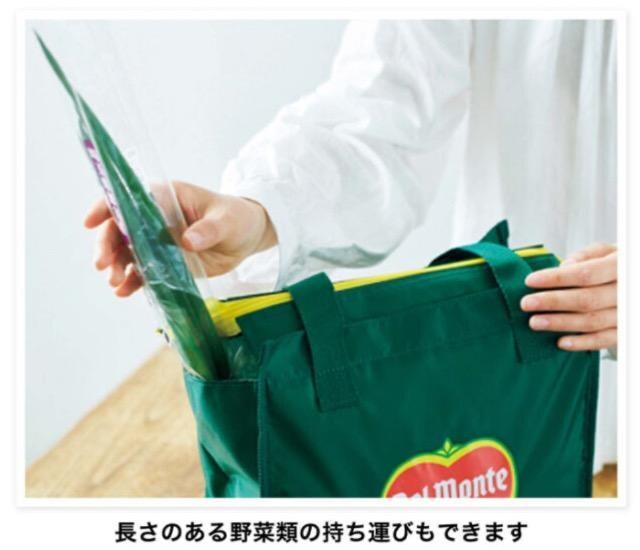 l̂蒟Gt^feKobƊJۗg[gobO