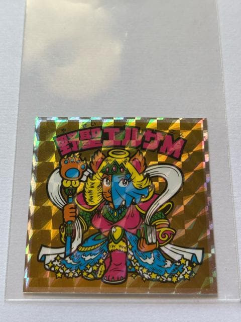 wbh炯̃rbN}NO.23 쐹GTM(ZCGTG)   zr[ 