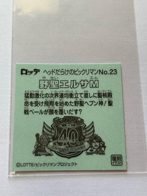 wbh炯̃rbN}NO.23 쐹GTM(ZCGTG)  zr[ 
