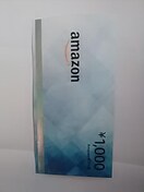 Amazon1000MtgVi