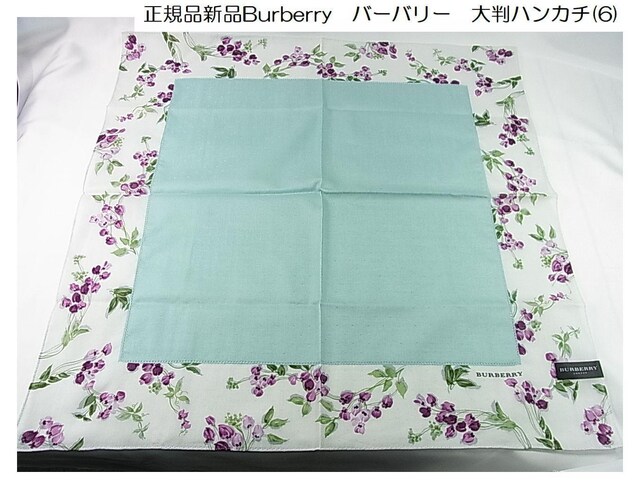 500~X^KgpBurberry@o[o[@唻nJ`i6j 