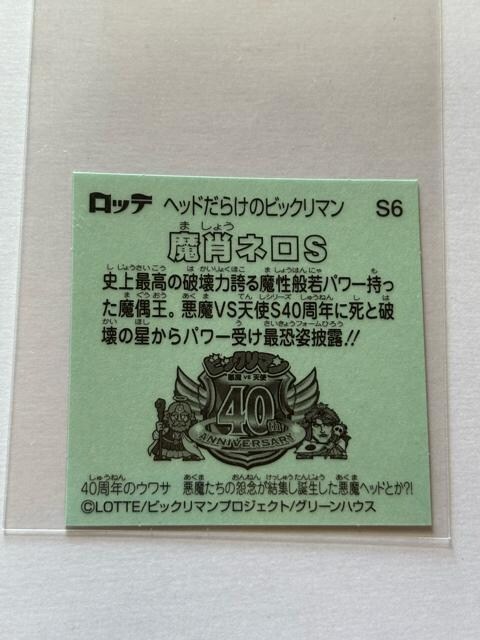 wbh炯̃rbN}NO.S6 уlS  zr[ 