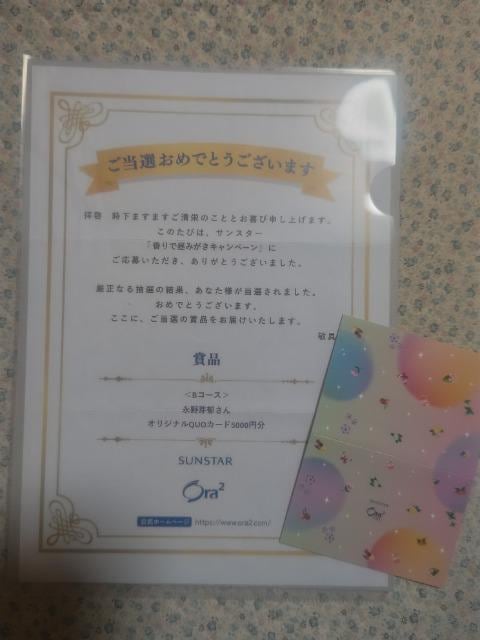 NIJ5000 i '25 TX^[ I[c[  gp  `Pbg/ 