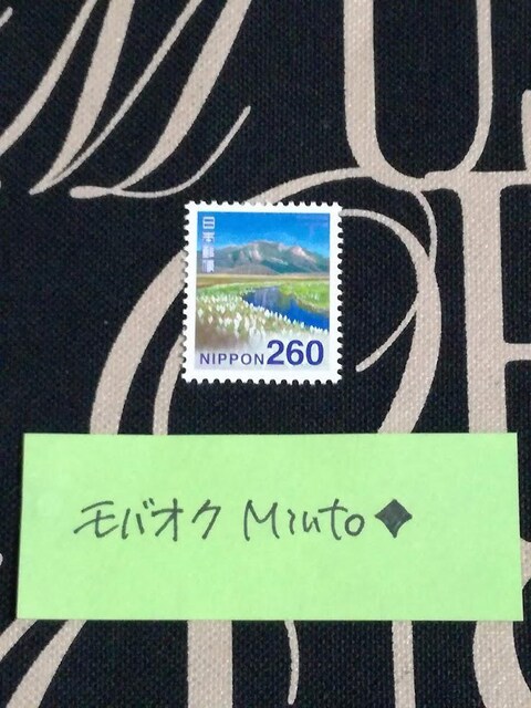 gp260~ʐ؎1oyC} 