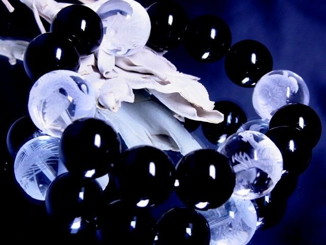 fl_b16~IjLX14~  jANZT[/v 